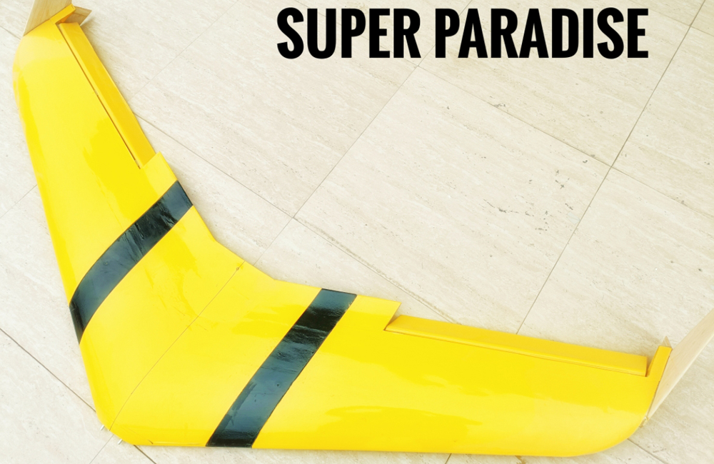 Flying Wing Drone
