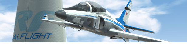 RealFlight Evolution Simulator Interface